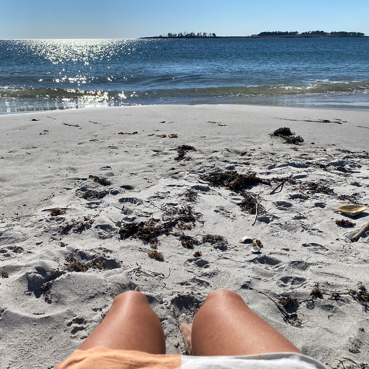 beachLegs